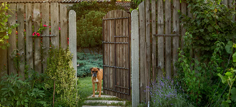 Winter Garden Garage Door Repair in Fruit Cove,[location field=state]